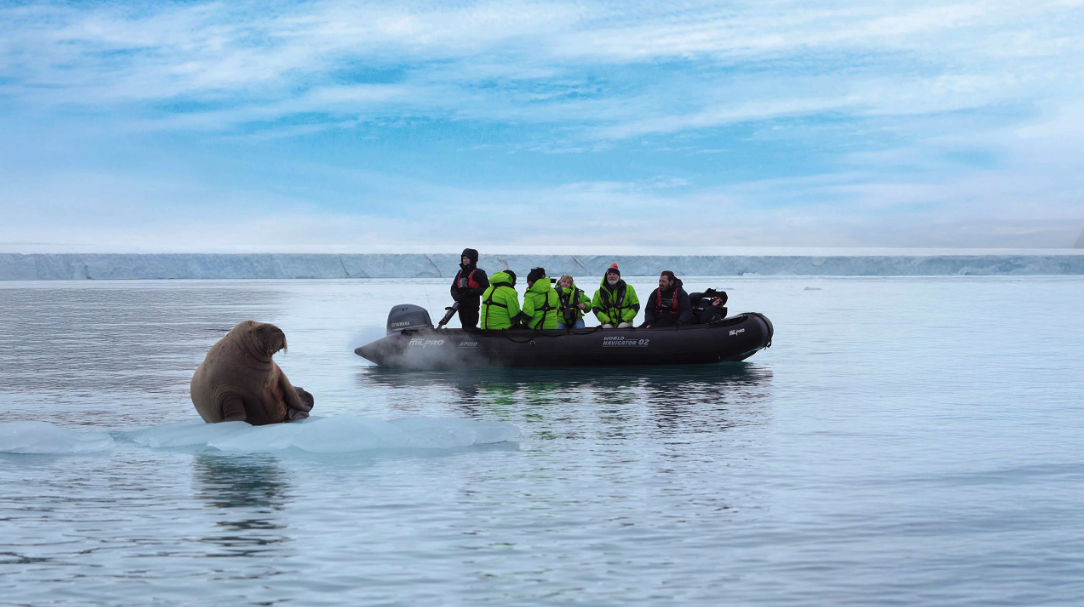 ARCTIC CIRCLE EXPLORER