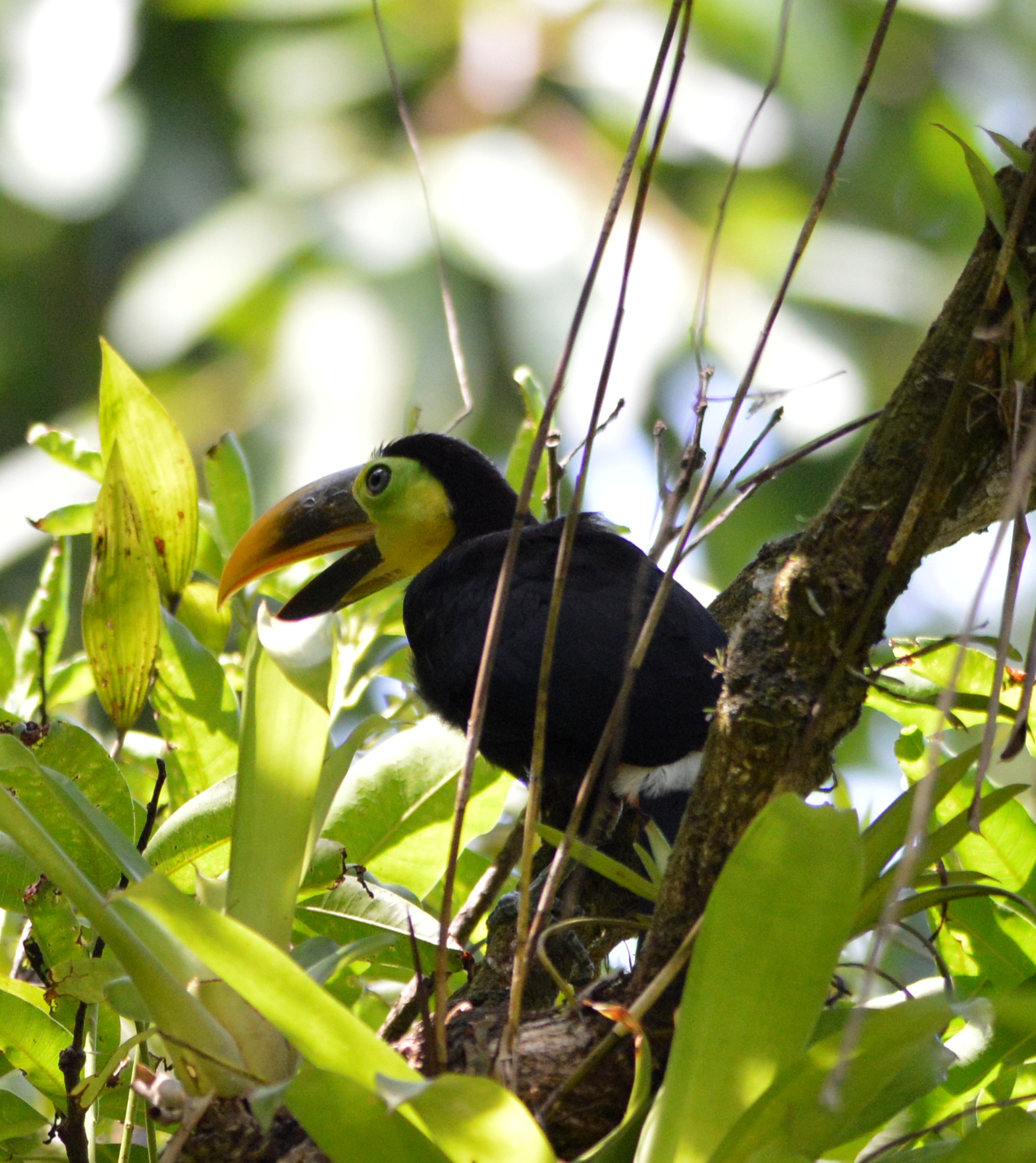 Wildlife and Wilderness, Up Close