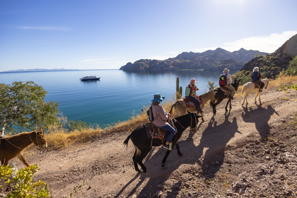 Burro Ride