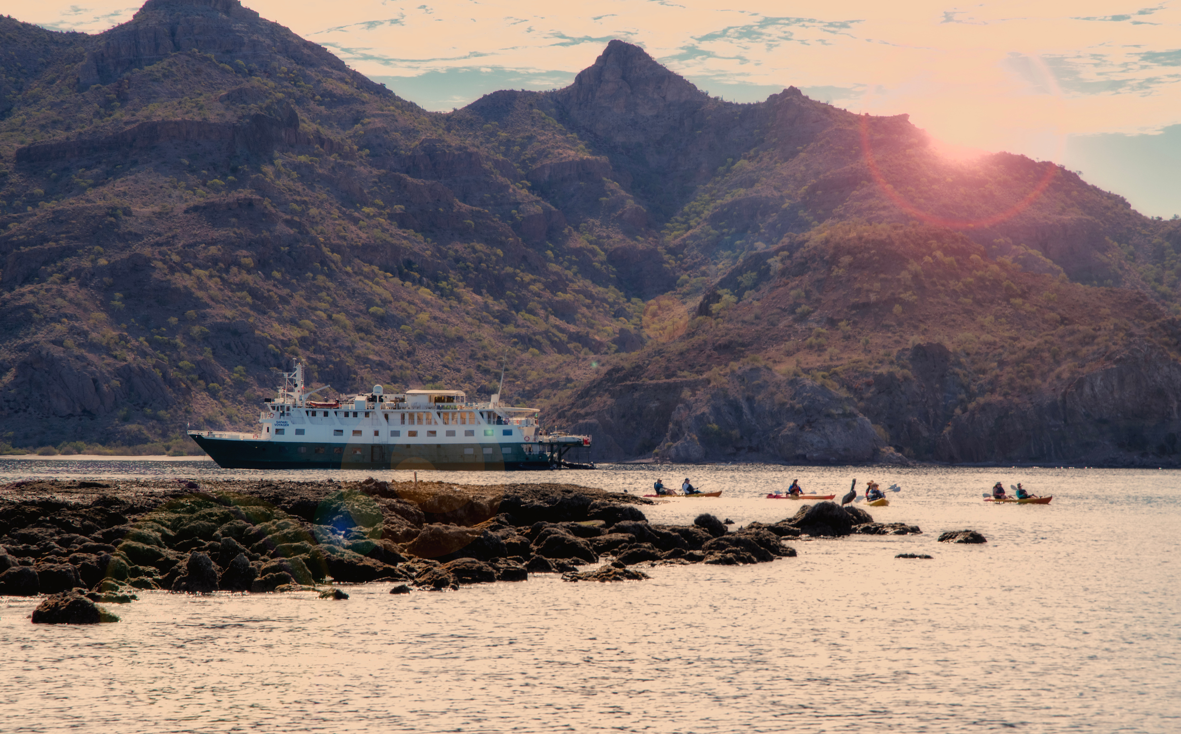 In Steinbeck's Wake: An Epic Voyage Through the Sea of Cortez