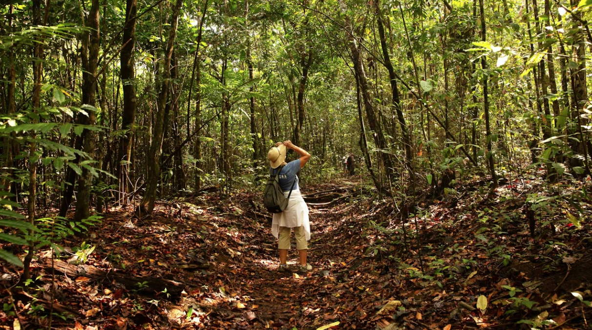 Panama and Costa Rica