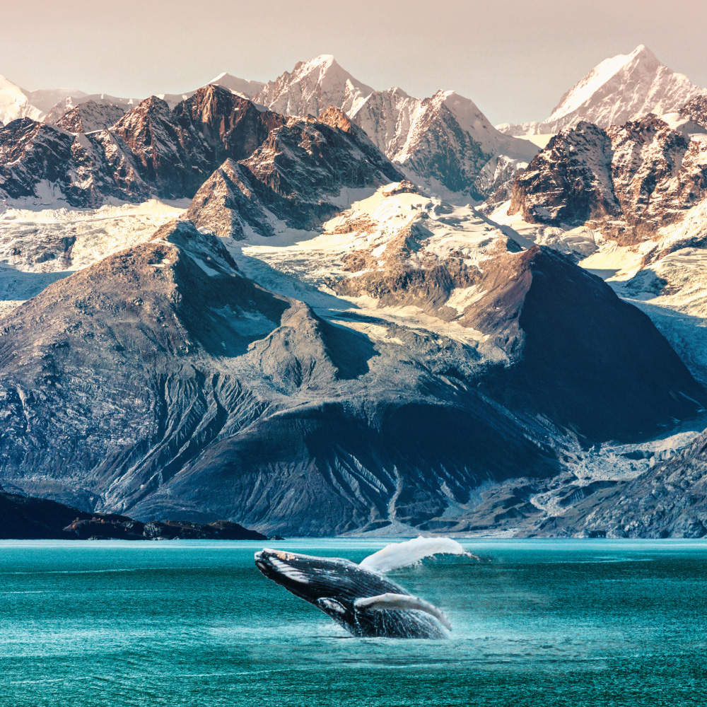 <small>A PASSAGE THROUGH GLACIAL WATERS</small>
**ALASKA**