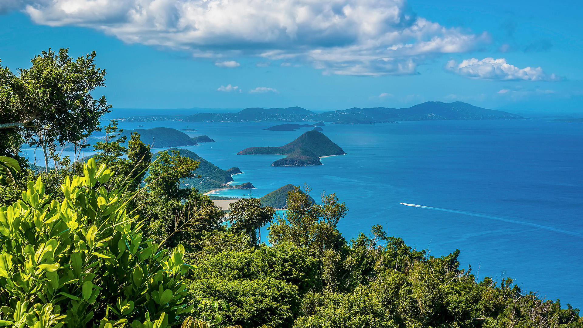 Caribbean