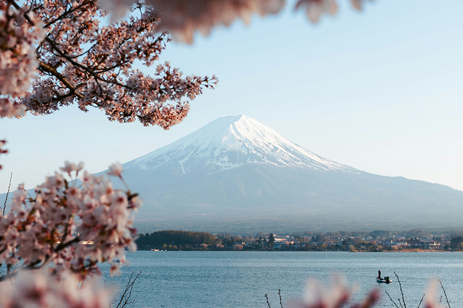 Signature: Japan's Tokyo, Kyoto & Osaka