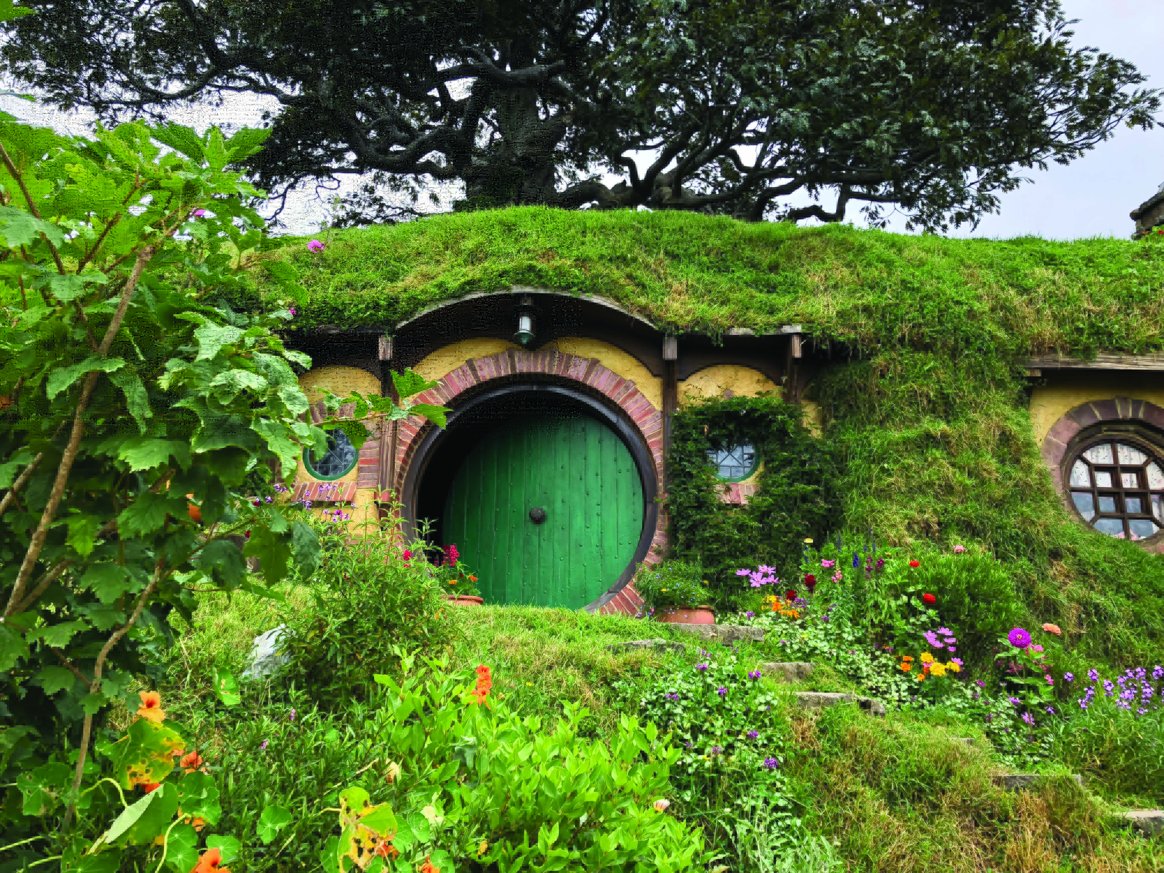 ENCHANTED NEW ZEALAND