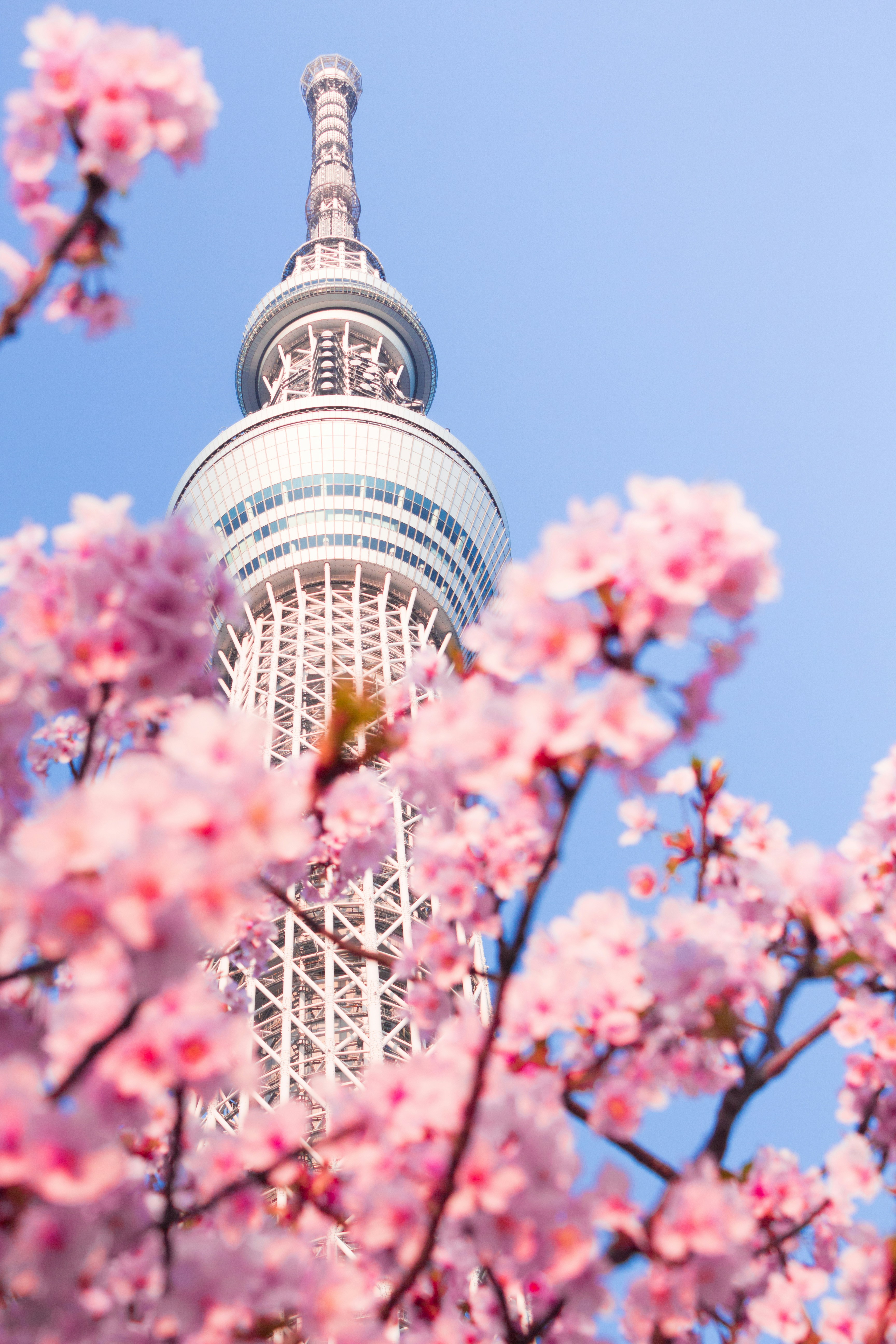 TIMELESS TRADITIONS AND SKYLINES