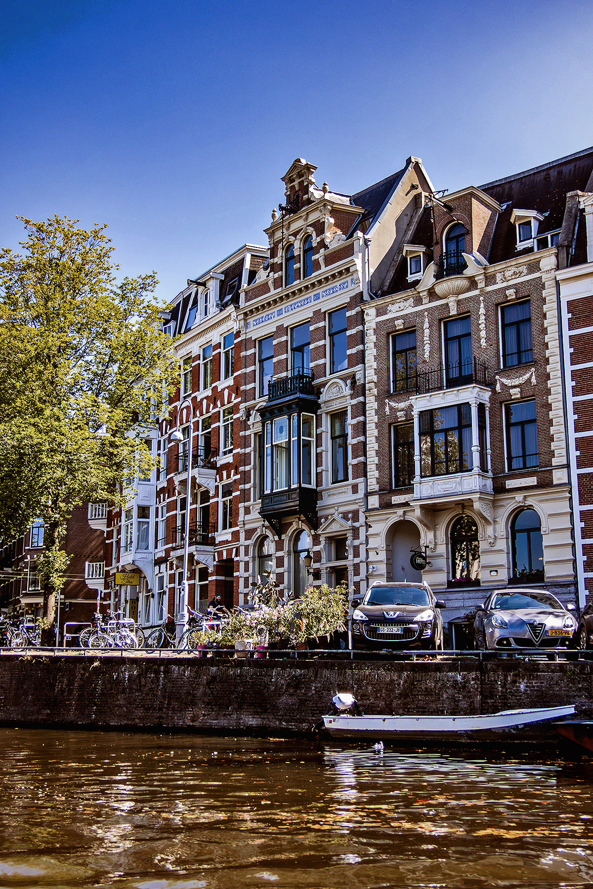 Captivating Rhine