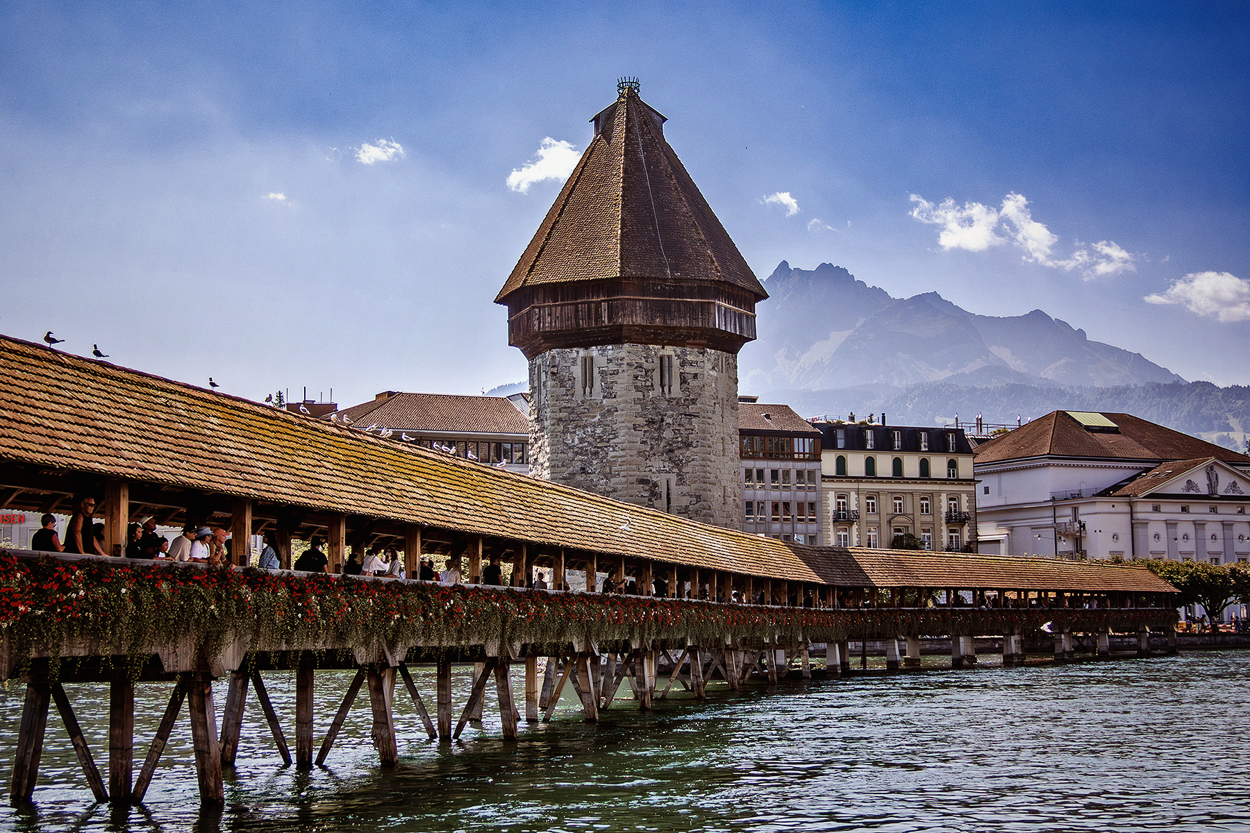 Swiss Alps & Rhine Castles