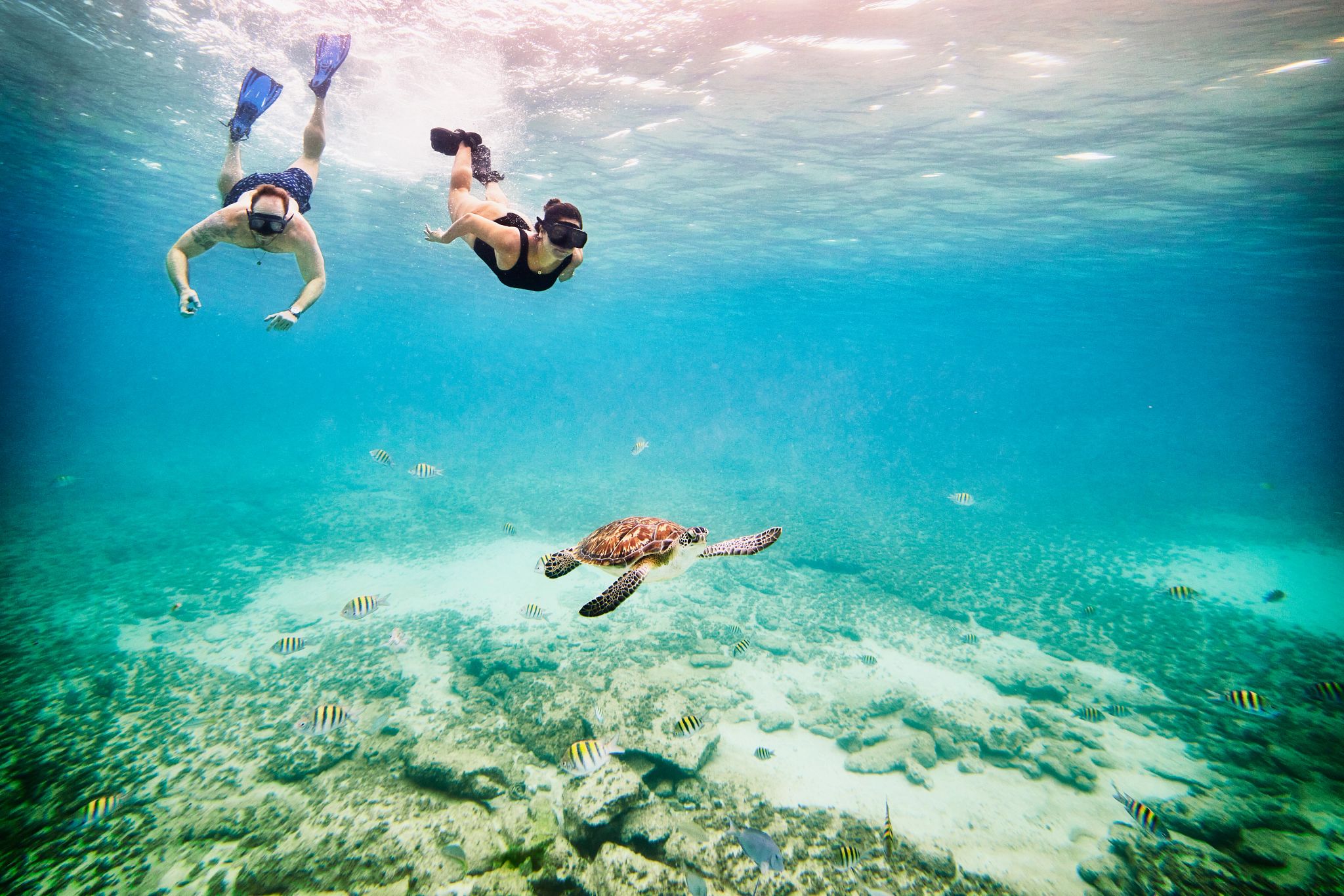 Beauty Below the Surface