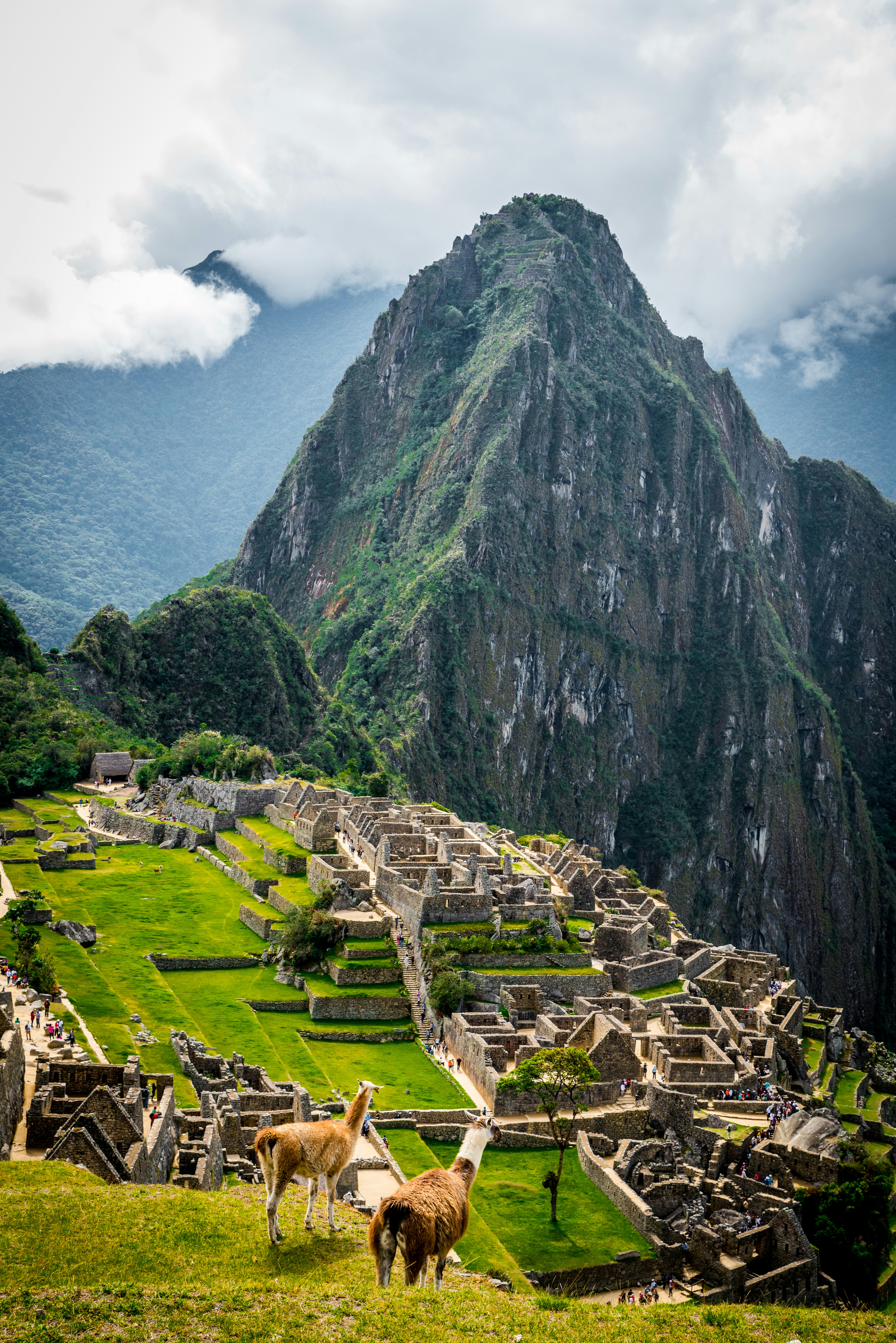 EXPLORE MACHU PICHU