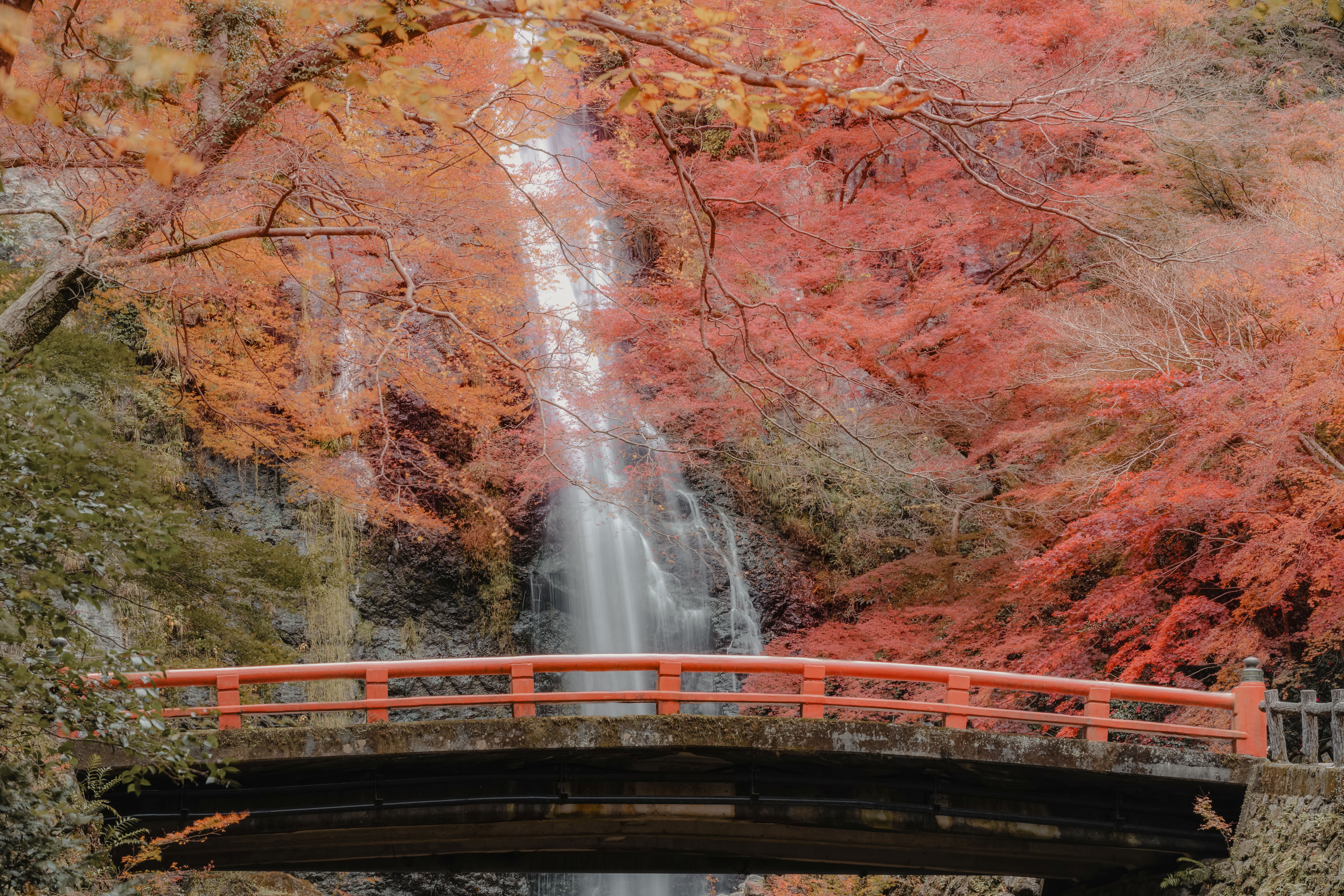 Autumn 2027 | Japan Foliage Season