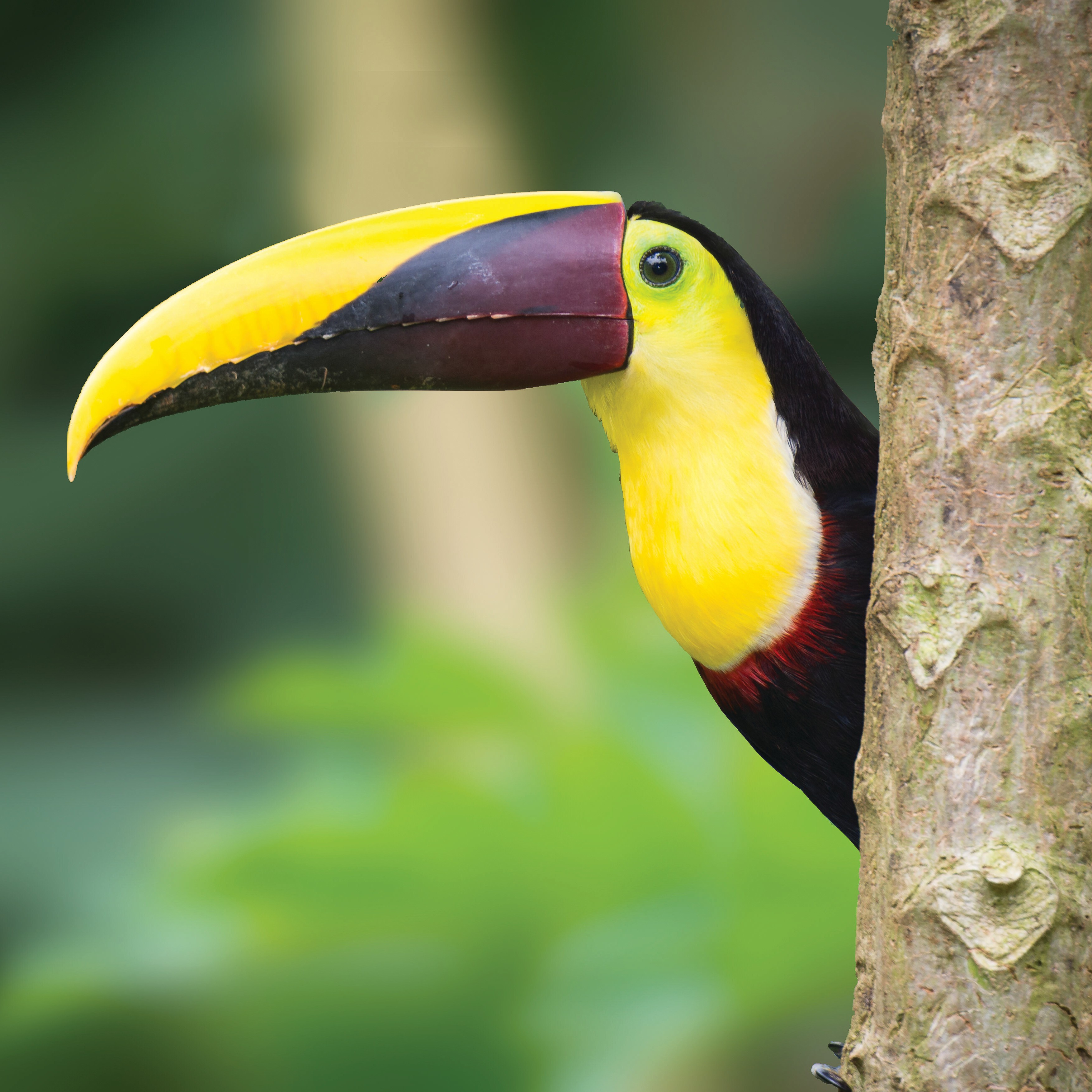 Panama and Colombia: Exploring the Caribbean Coast