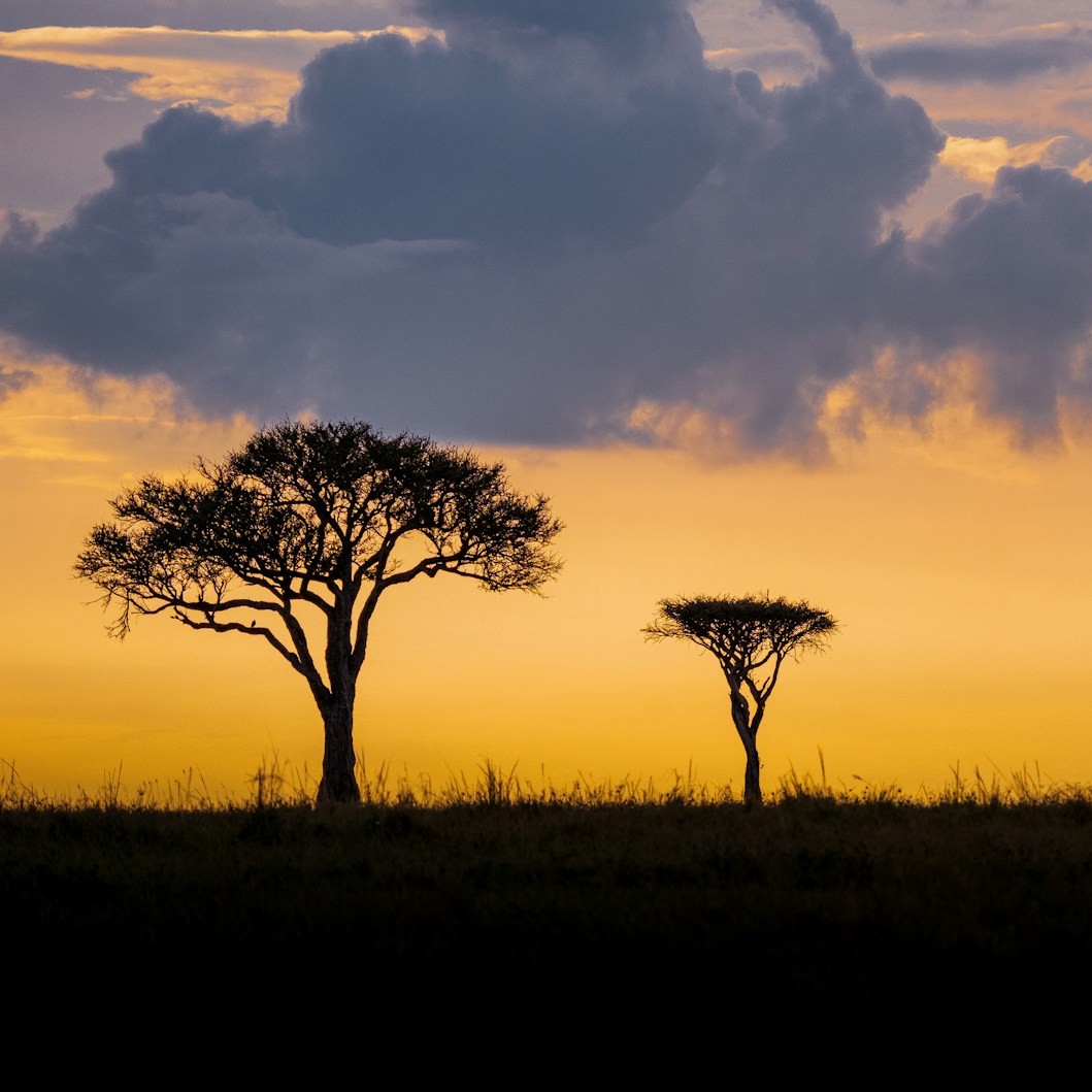 Maasai Culture in Tanzania & Kenya