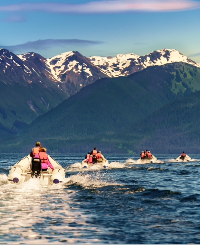 <strong>HUBBARD GLACIER DISCOVERY</strong>