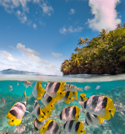 <strong>MATIRA BEACH, BORA BORA</strong>