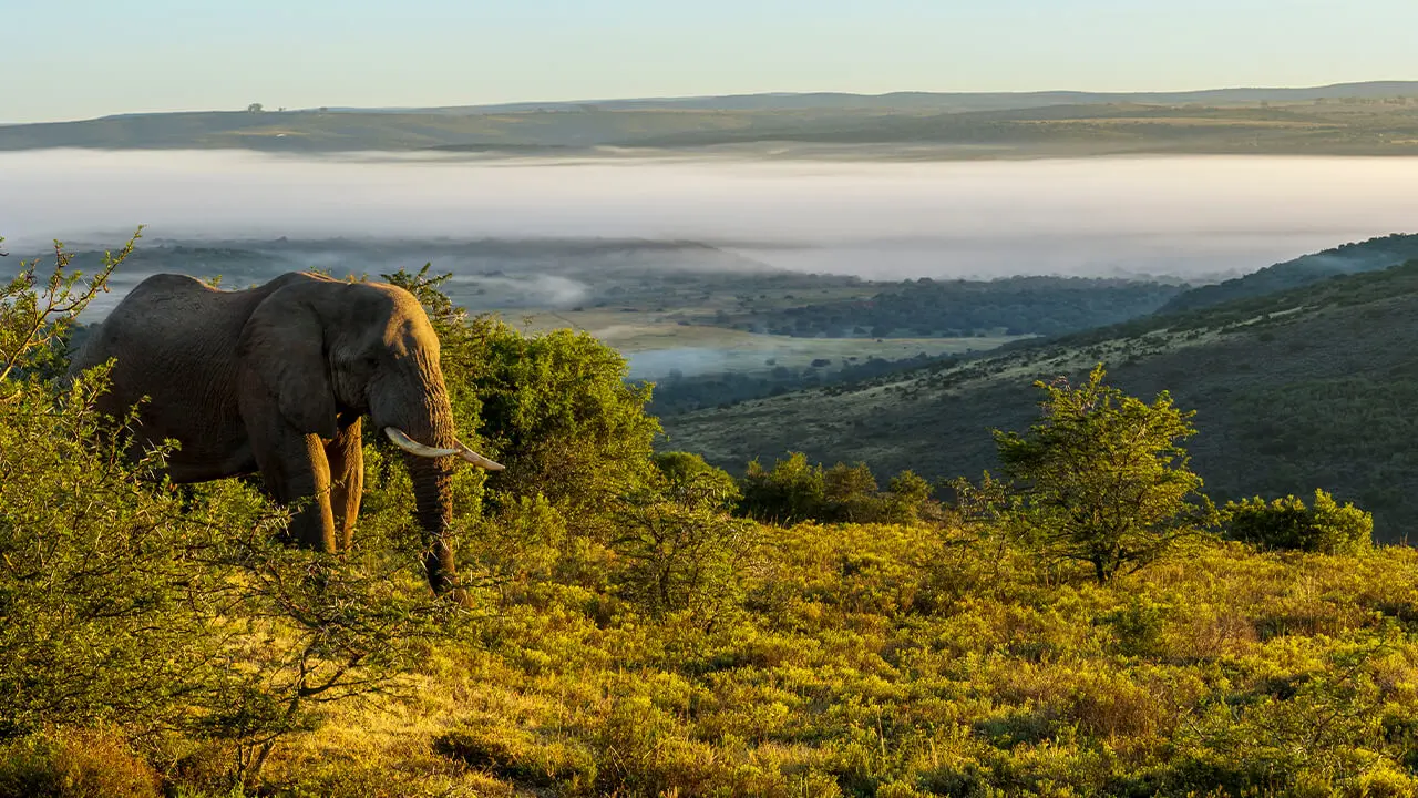 Swahili Coast