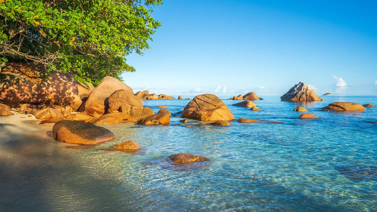 Wild Isles & African Grandeur