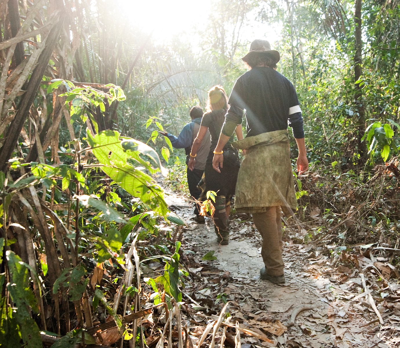 Peruvian Amazon at Low Water