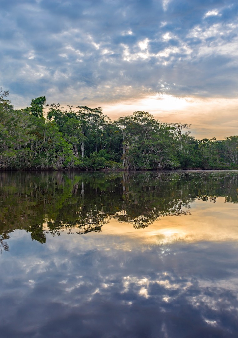 Peruvian Amazon at High Water