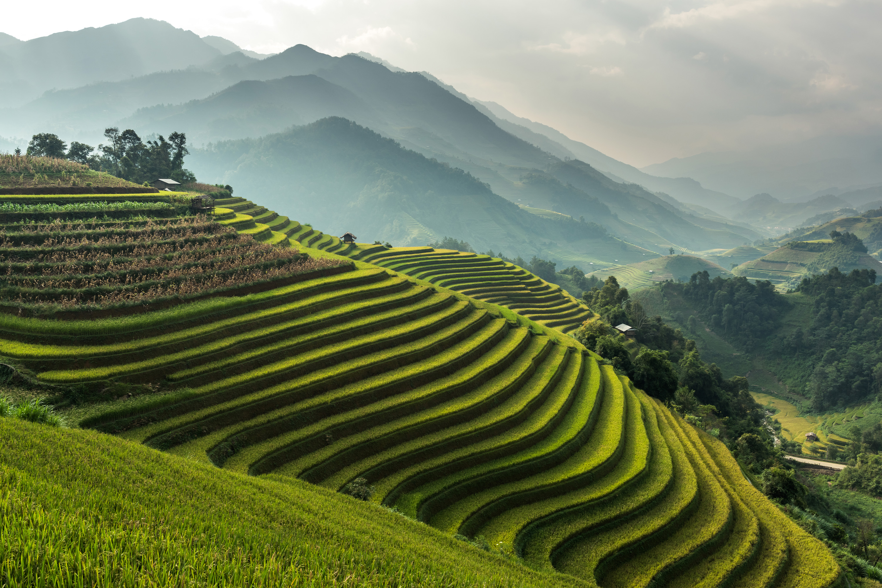 Bali