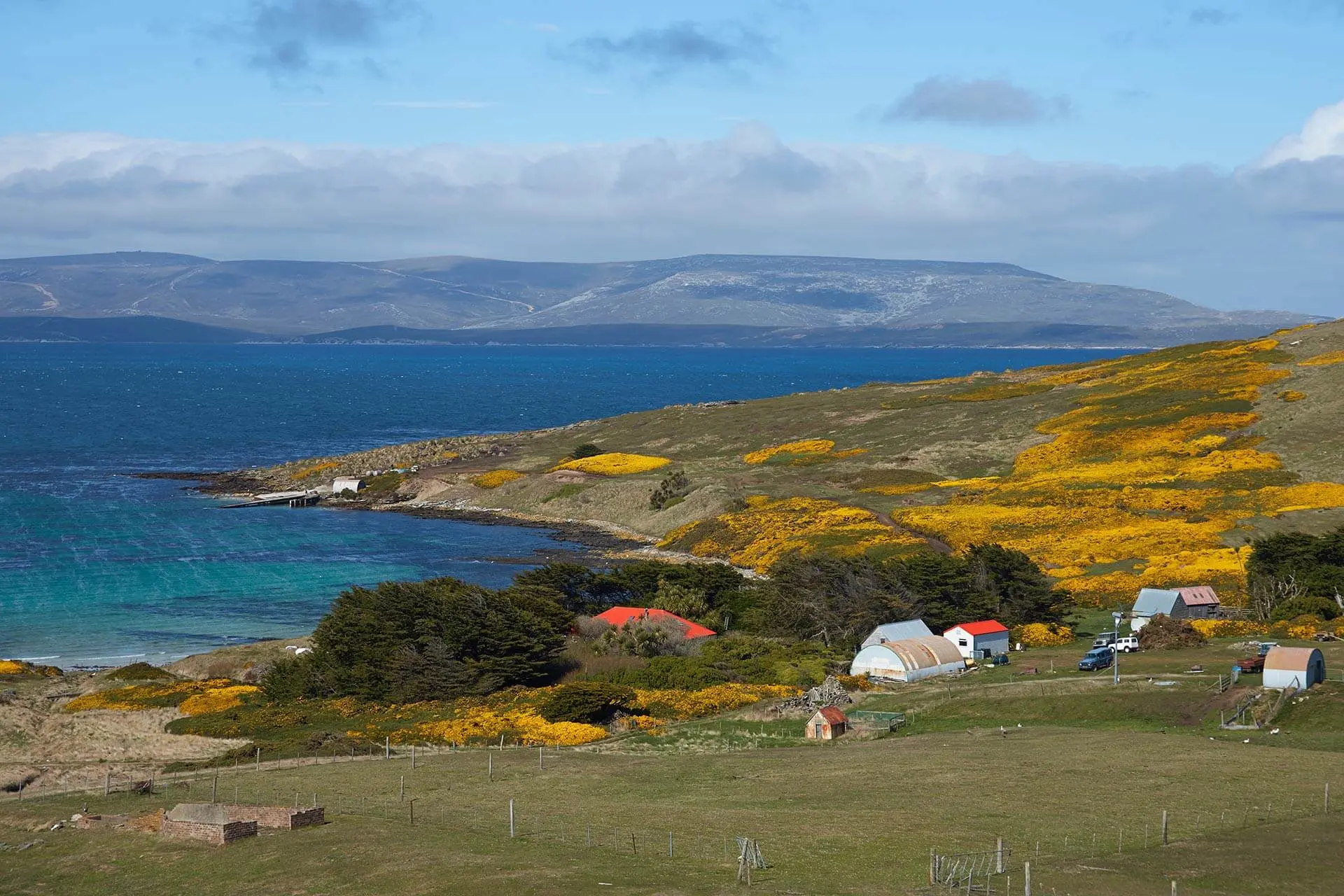 Antarctic & Falklands Adventure