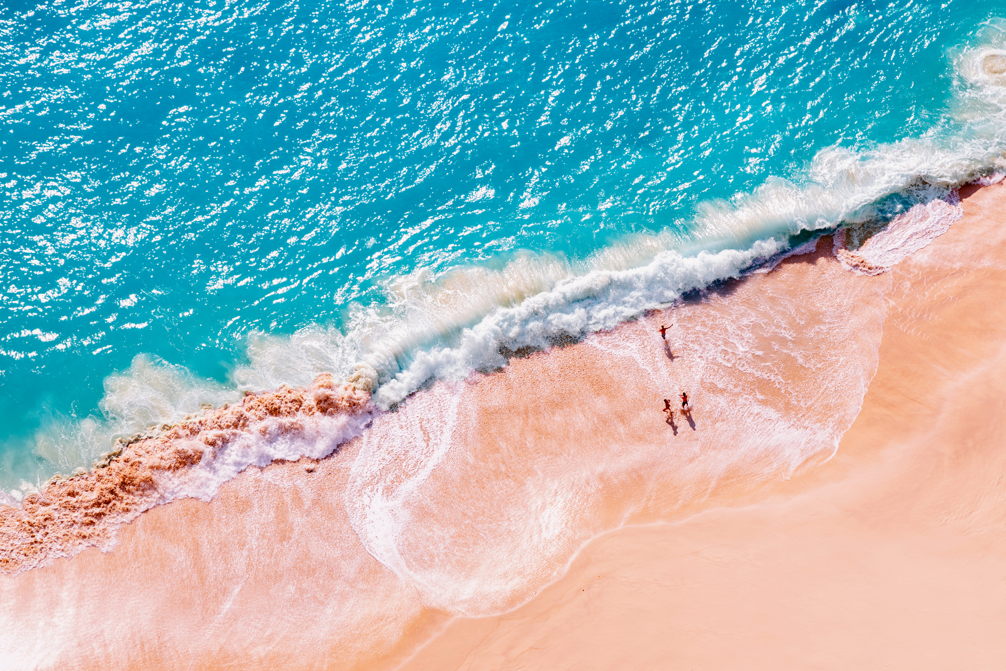 Bermuda Cruises