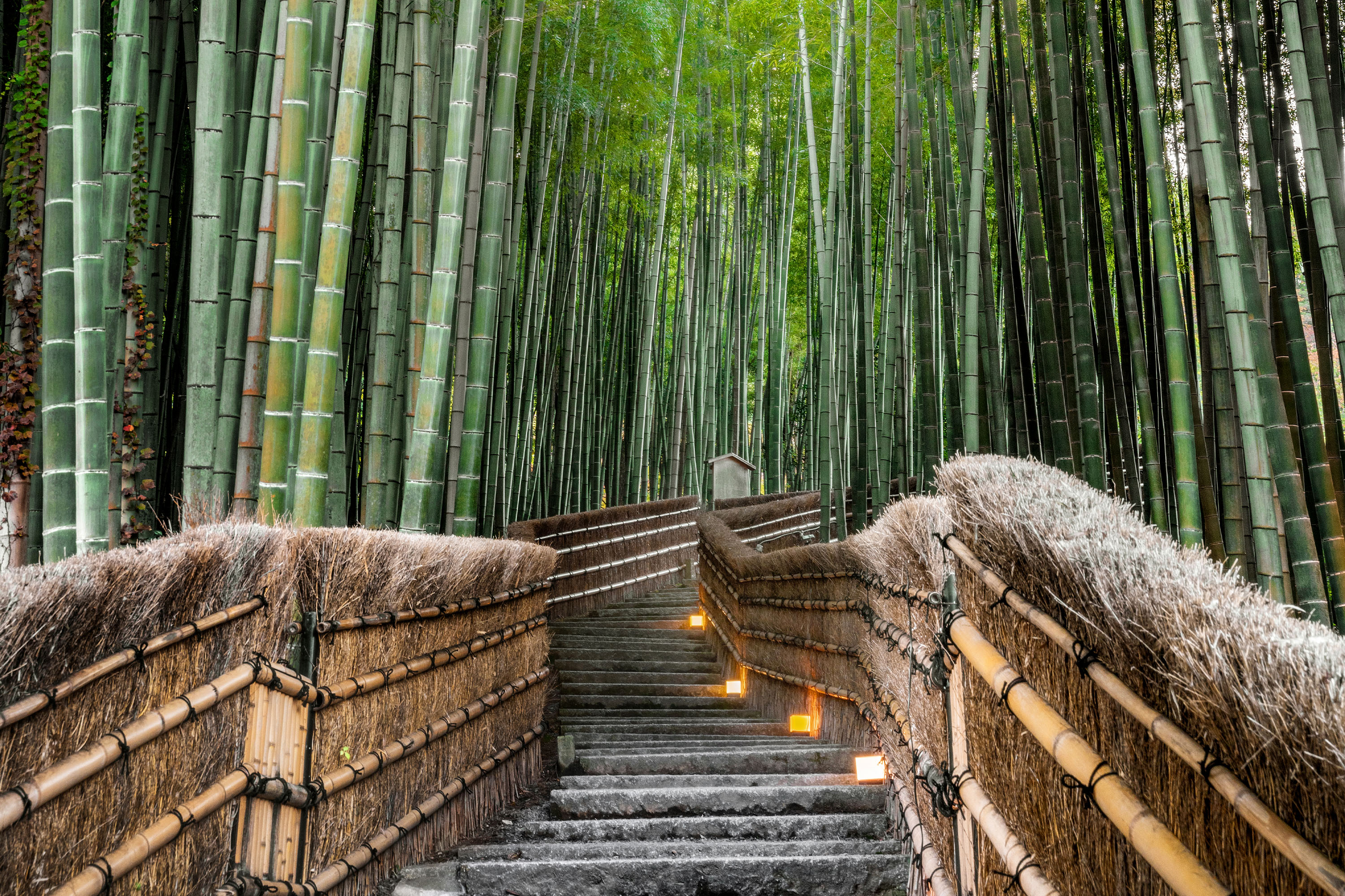 Kyoto