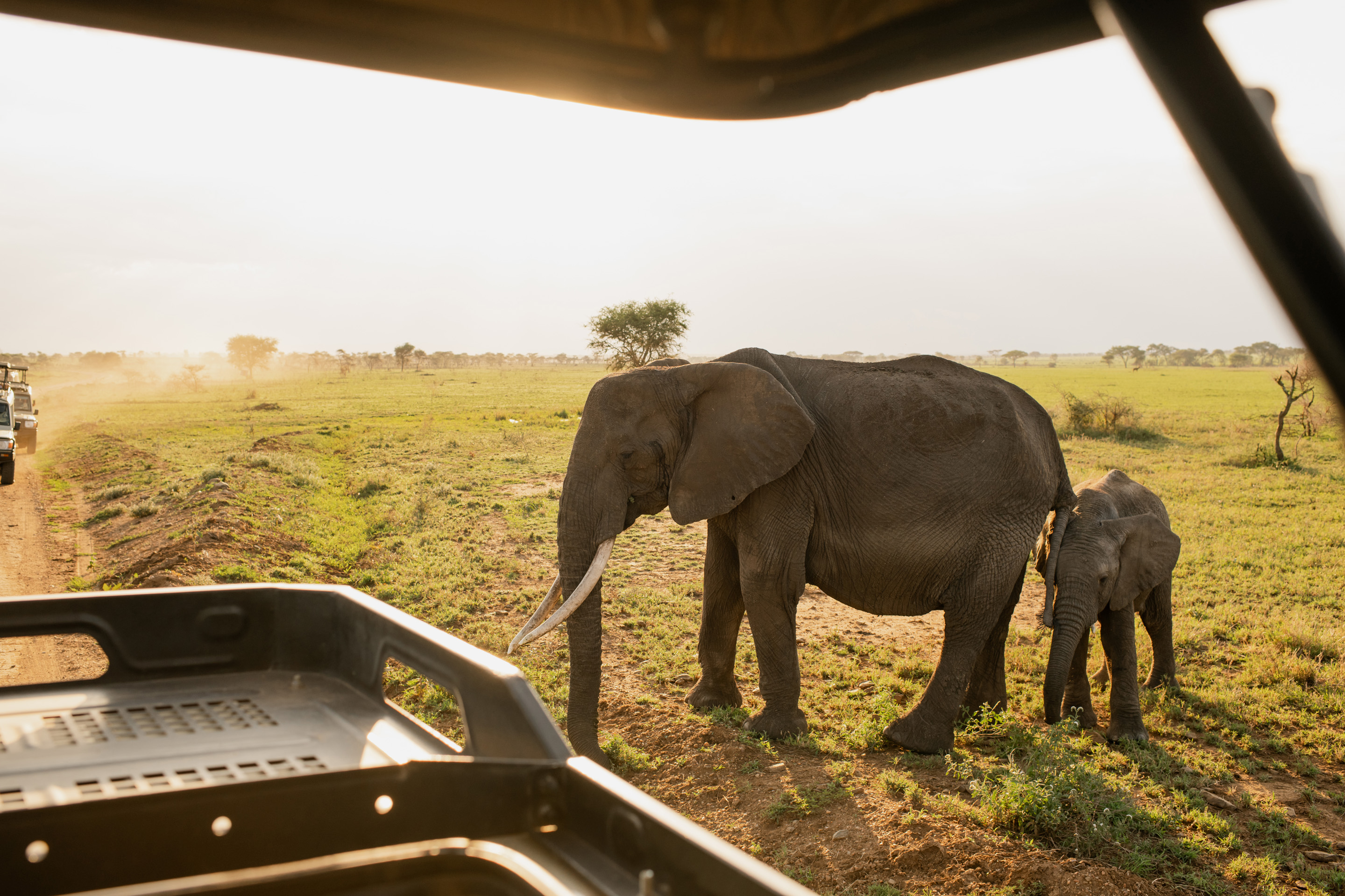Maasai Mara, Kenya