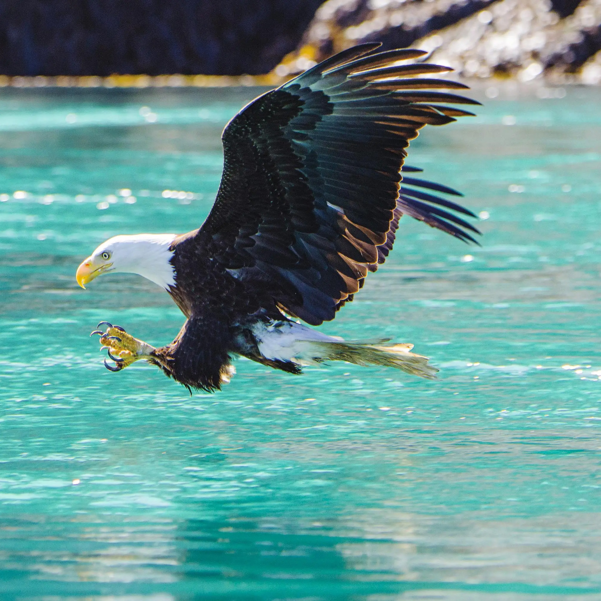 Alaska's Inside Passage, Endicott Arm and Prince Rupert