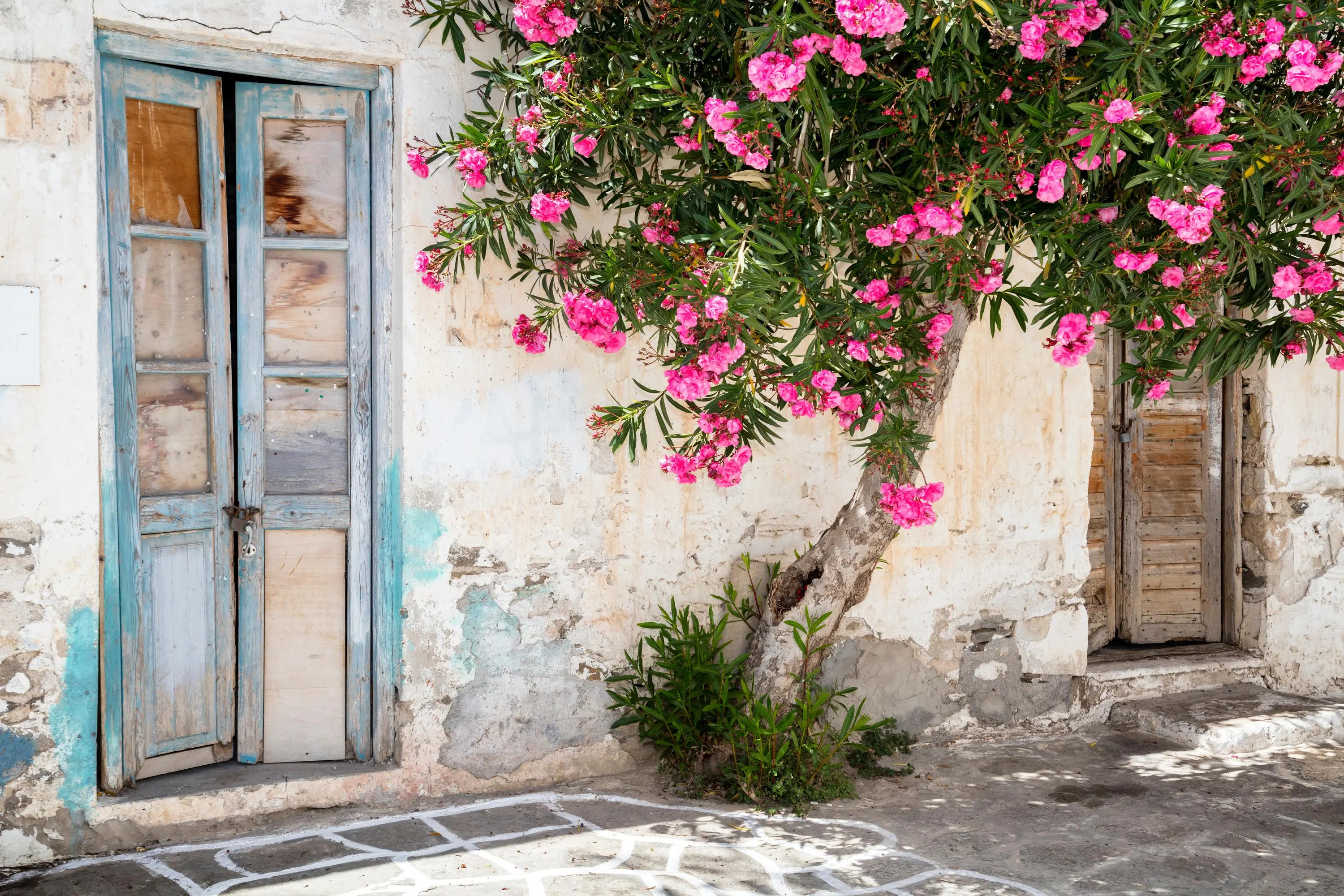 Crossroads of the Ancient World: Exploring Greece and Turkey