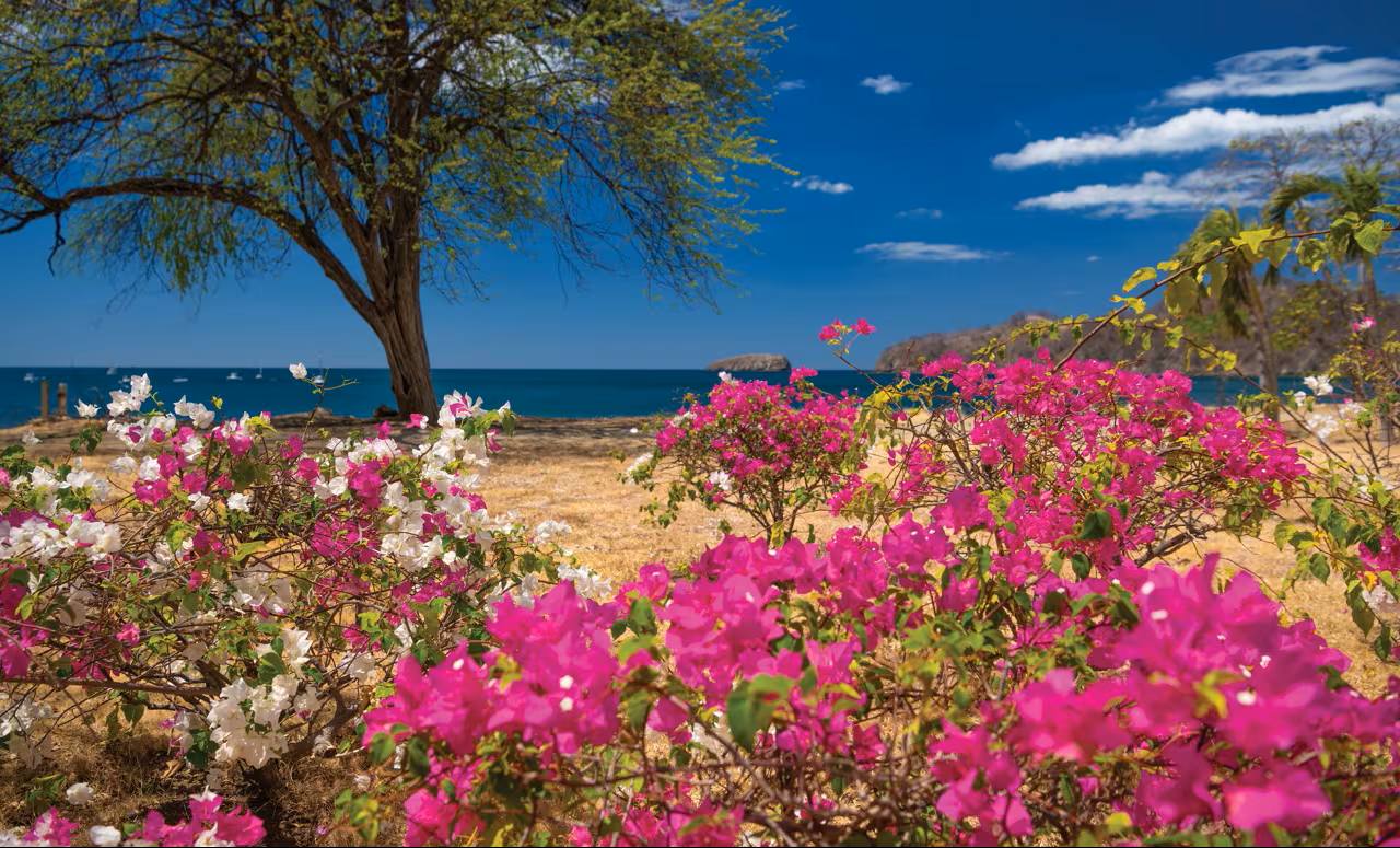 <small>FEATURED EXPEDITION #2</small>
Exploring Costa Rica: Guanacaste, Santa Rosa and Rincón de la Vieja