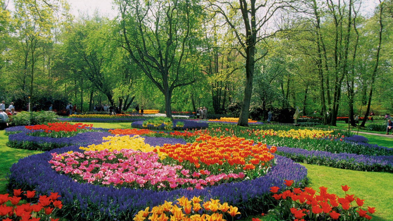 Dutch Tulip Season: Holland, Gelderland & Limberg