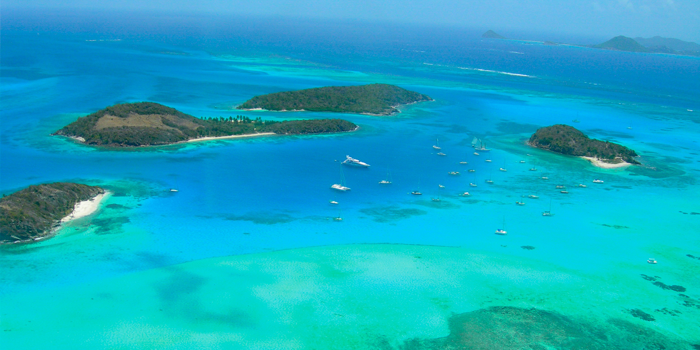 Renaud Capuçon’s Caribbean Celebration: 50 Years in Paradise