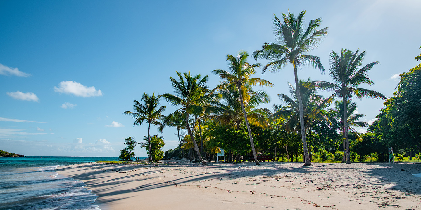 History and Culture Visiting Caribbean Jewels