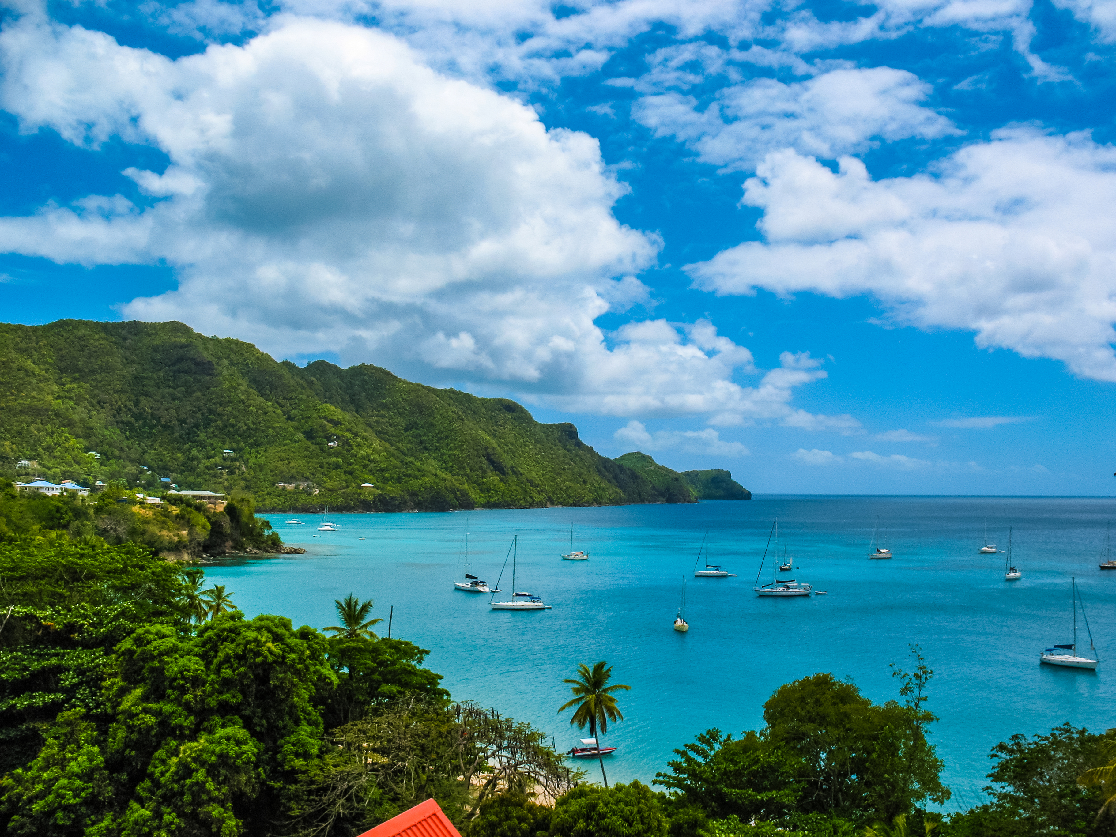 Pearls of the Caribbean