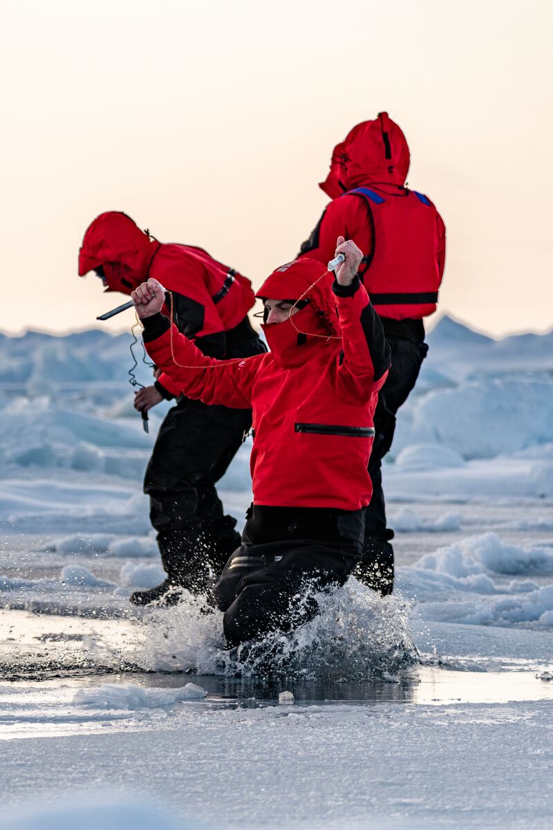 3) LEADING EXPERTS BY YOUR SIDE