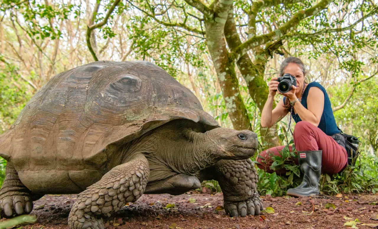 Exploring Galápagos