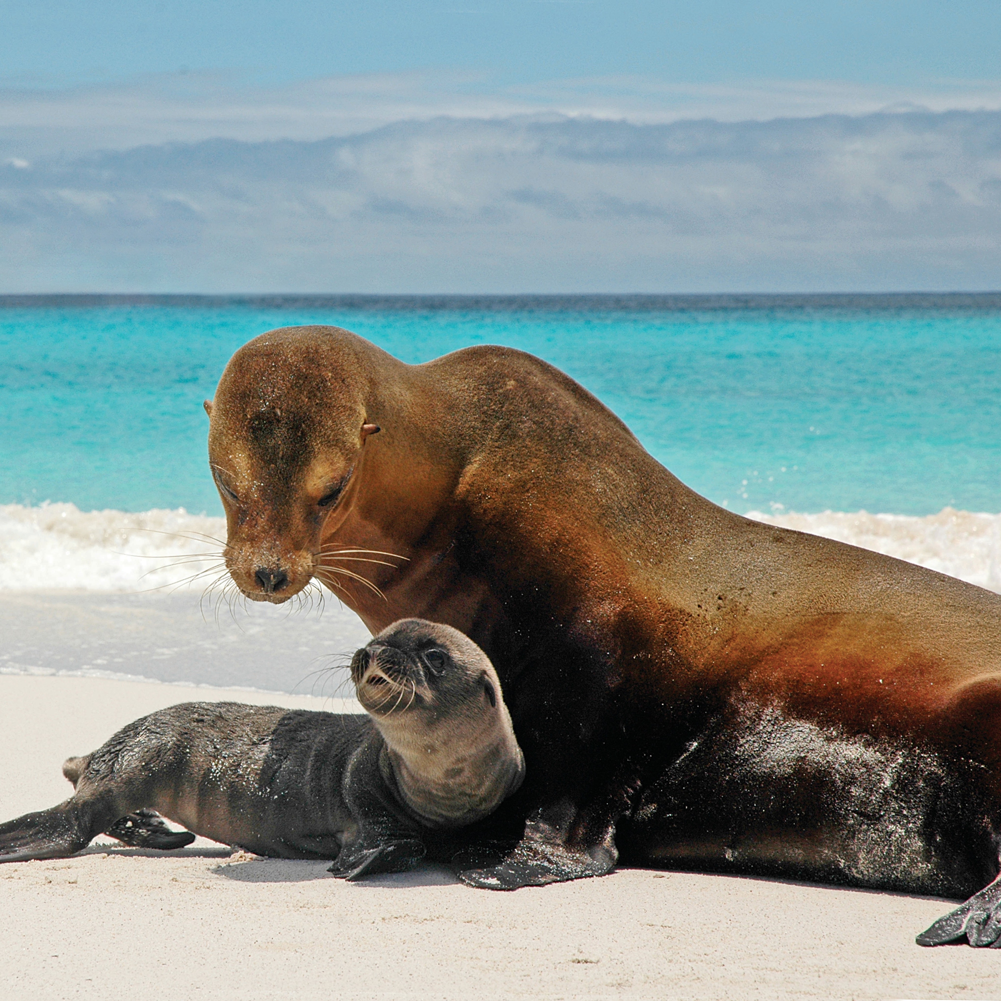 Galápagos by Catamaran, An Intimate Voyage