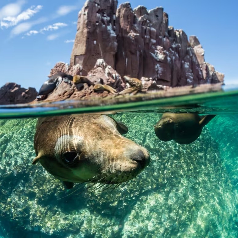 Channel Islands National Park to Baja California