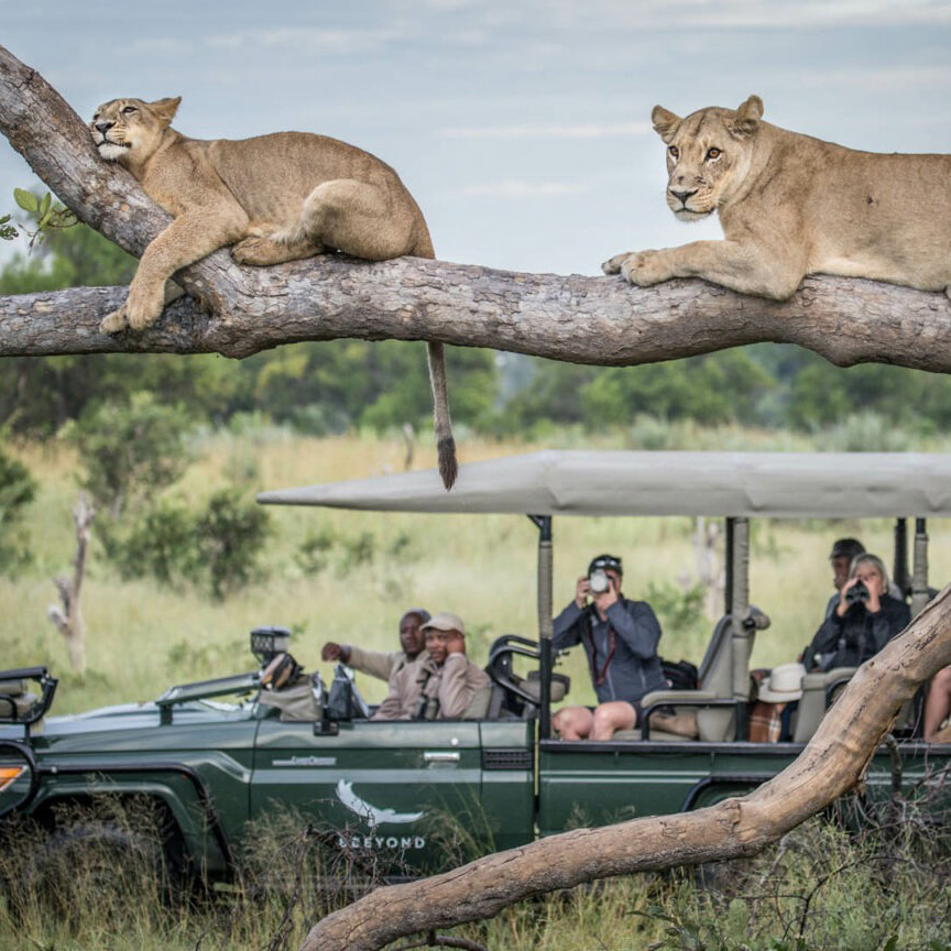 Safari destinations