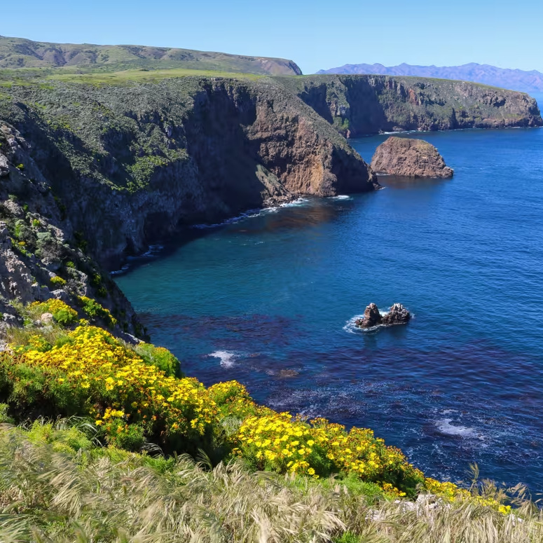 Channel Islands National Park to Baja California