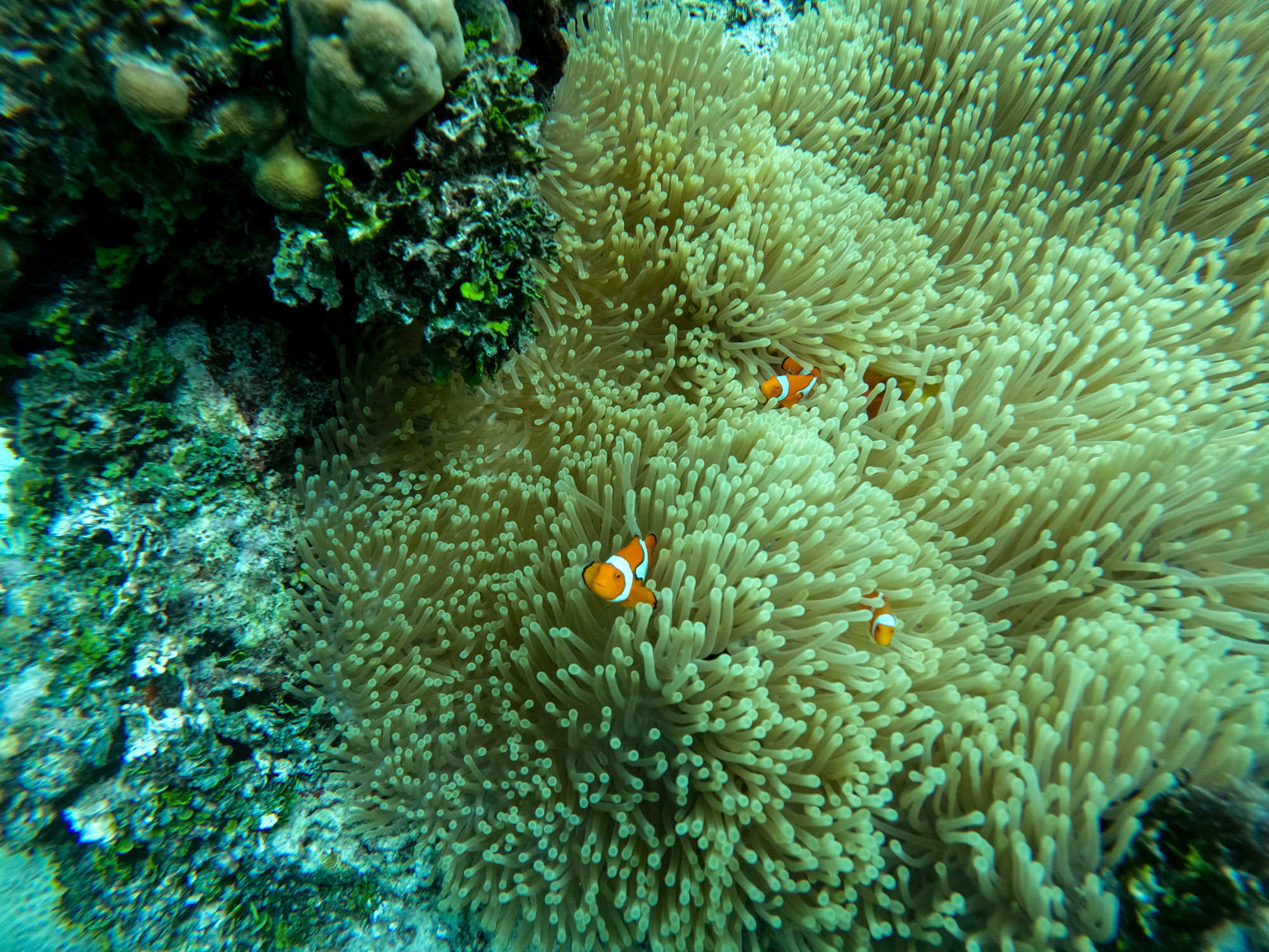 An Escapade in the Heart of Melanesia