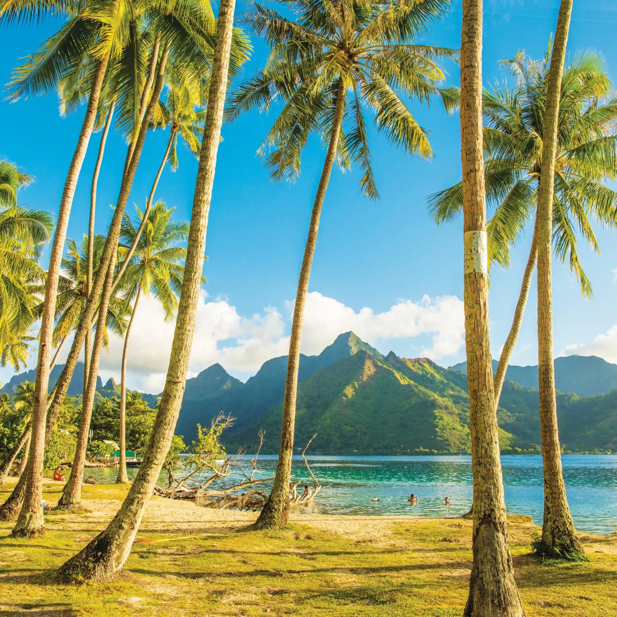 French Polynesia’s Tuamotus: Hidden Atolls and Coral Seas