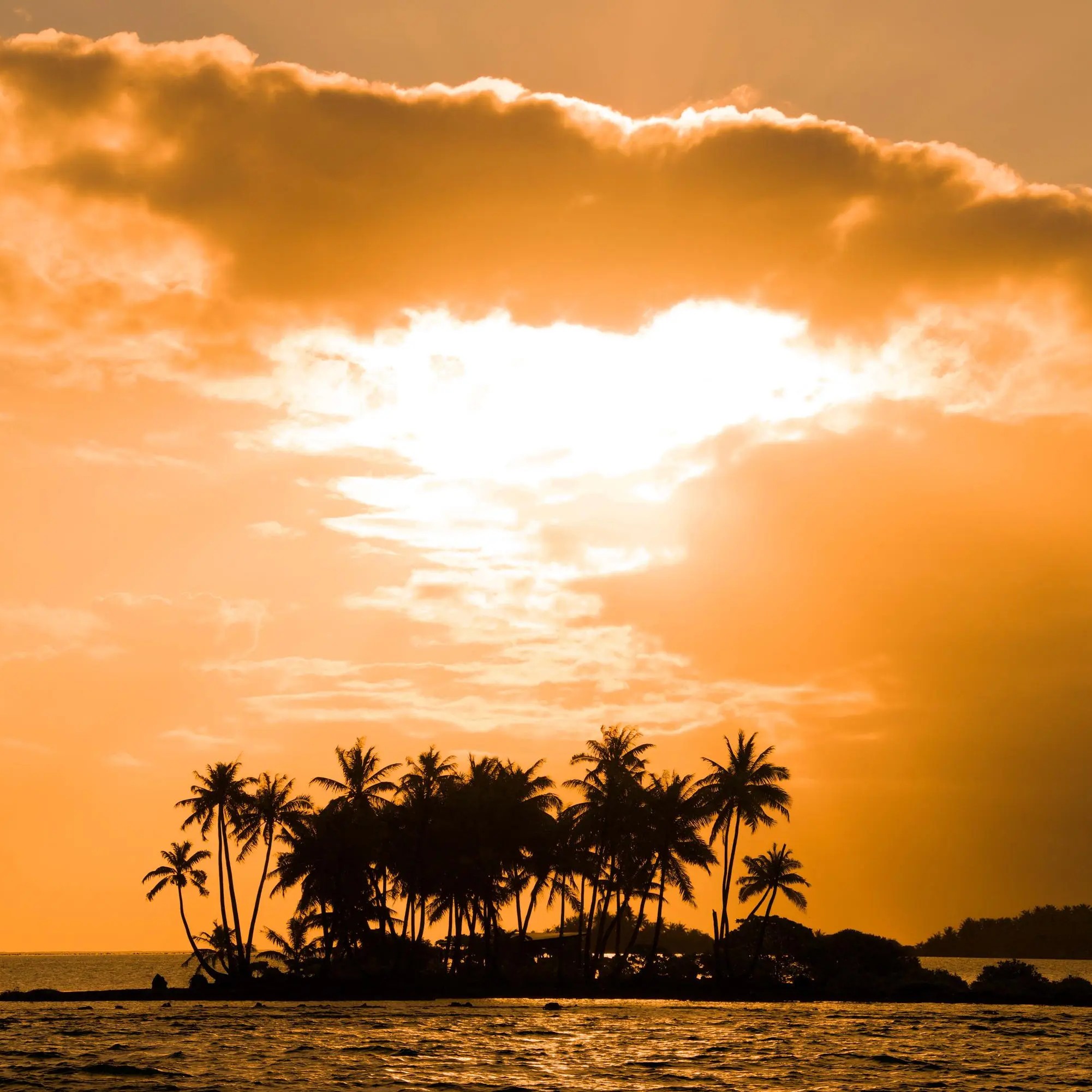 Fiji and Tahiti: Vibrant Reefs and Cultural History