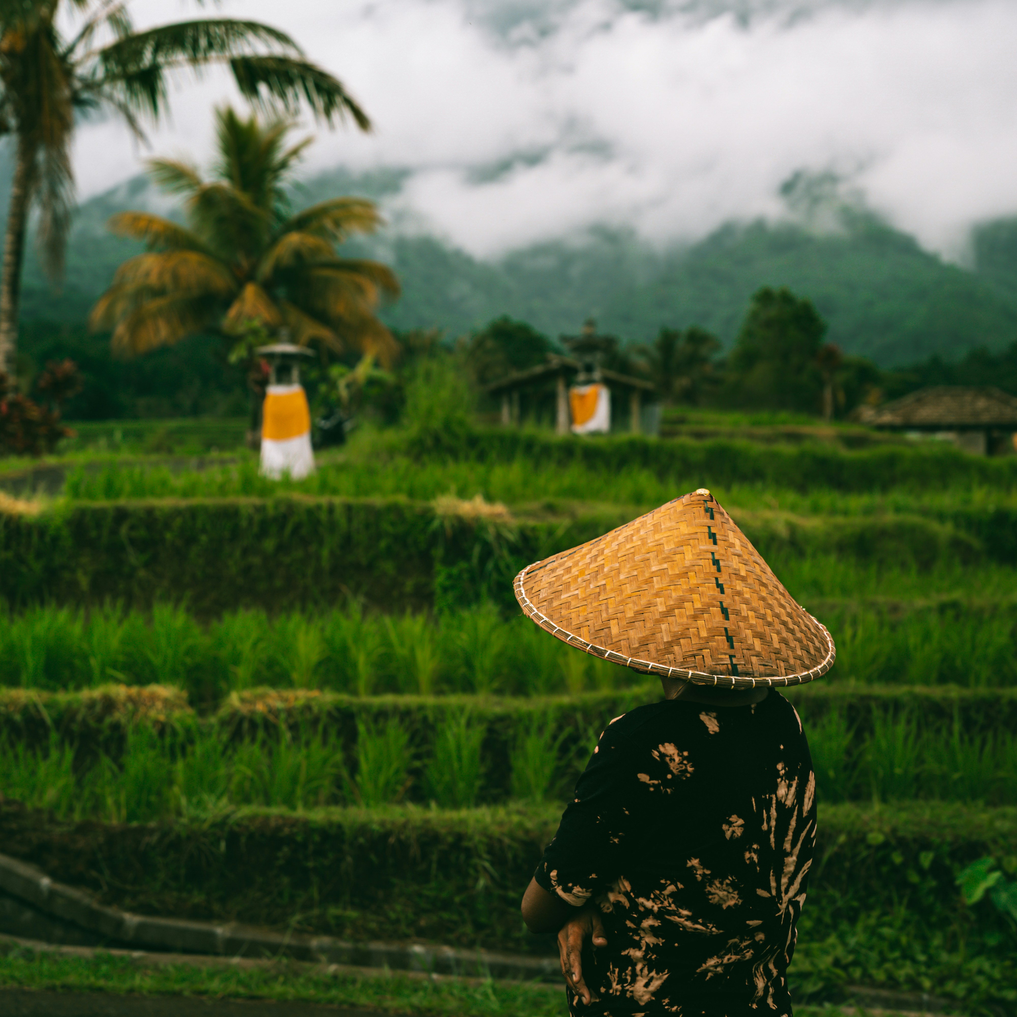 Beautiful Bali