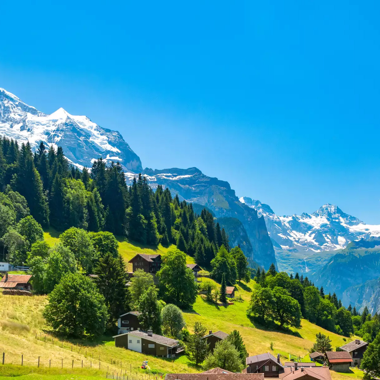 Rhine Cruise to Switzerland