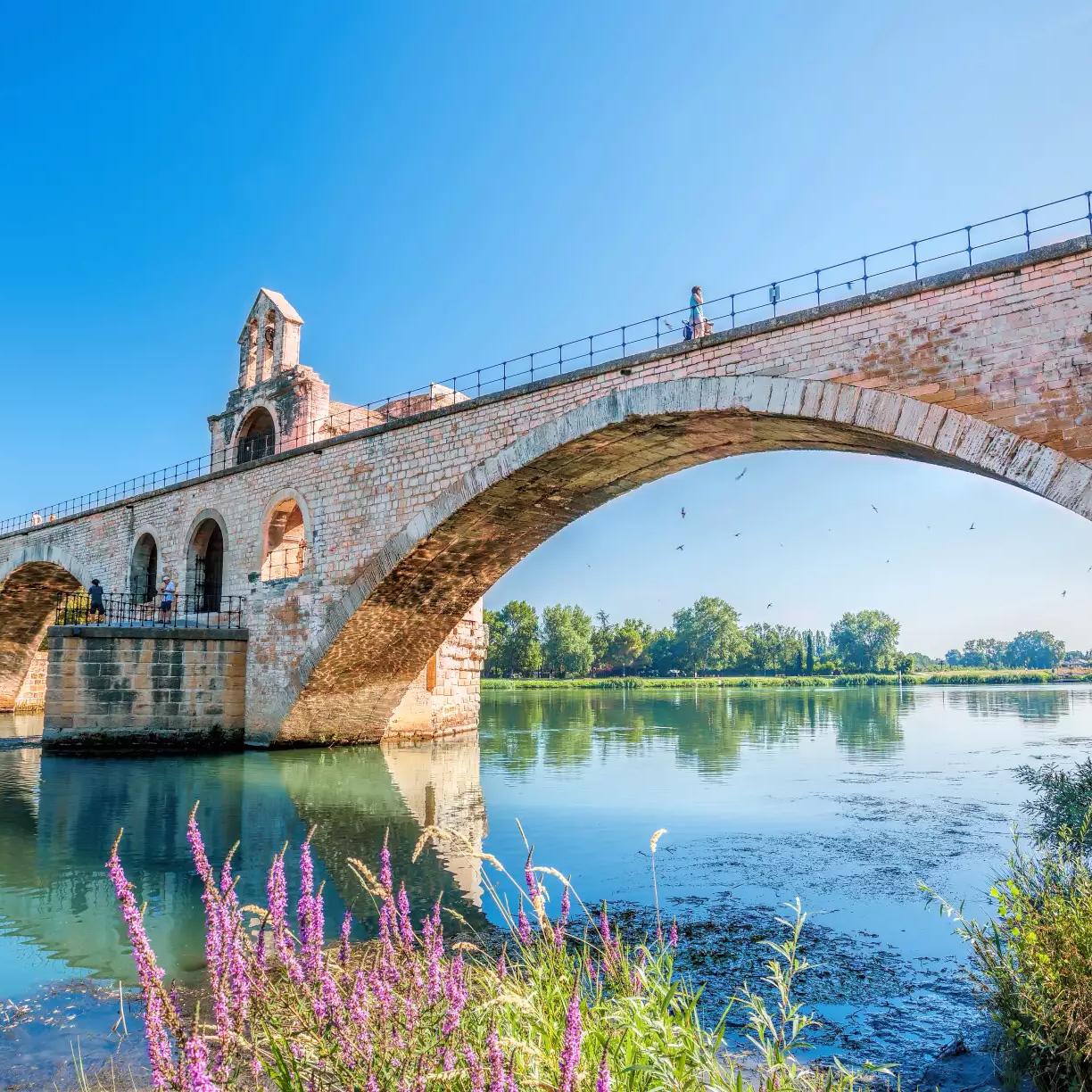 Burgundy, the River Rhône and Provence