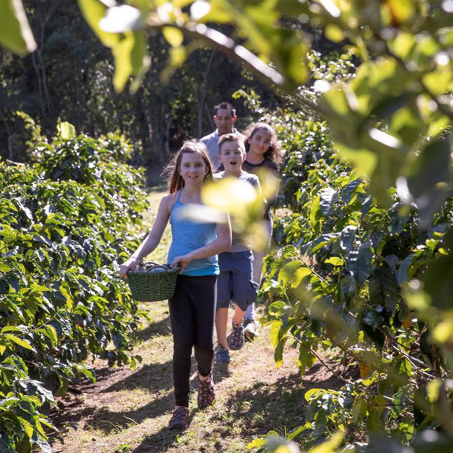 Costa Rica: From Rainforest to Coast