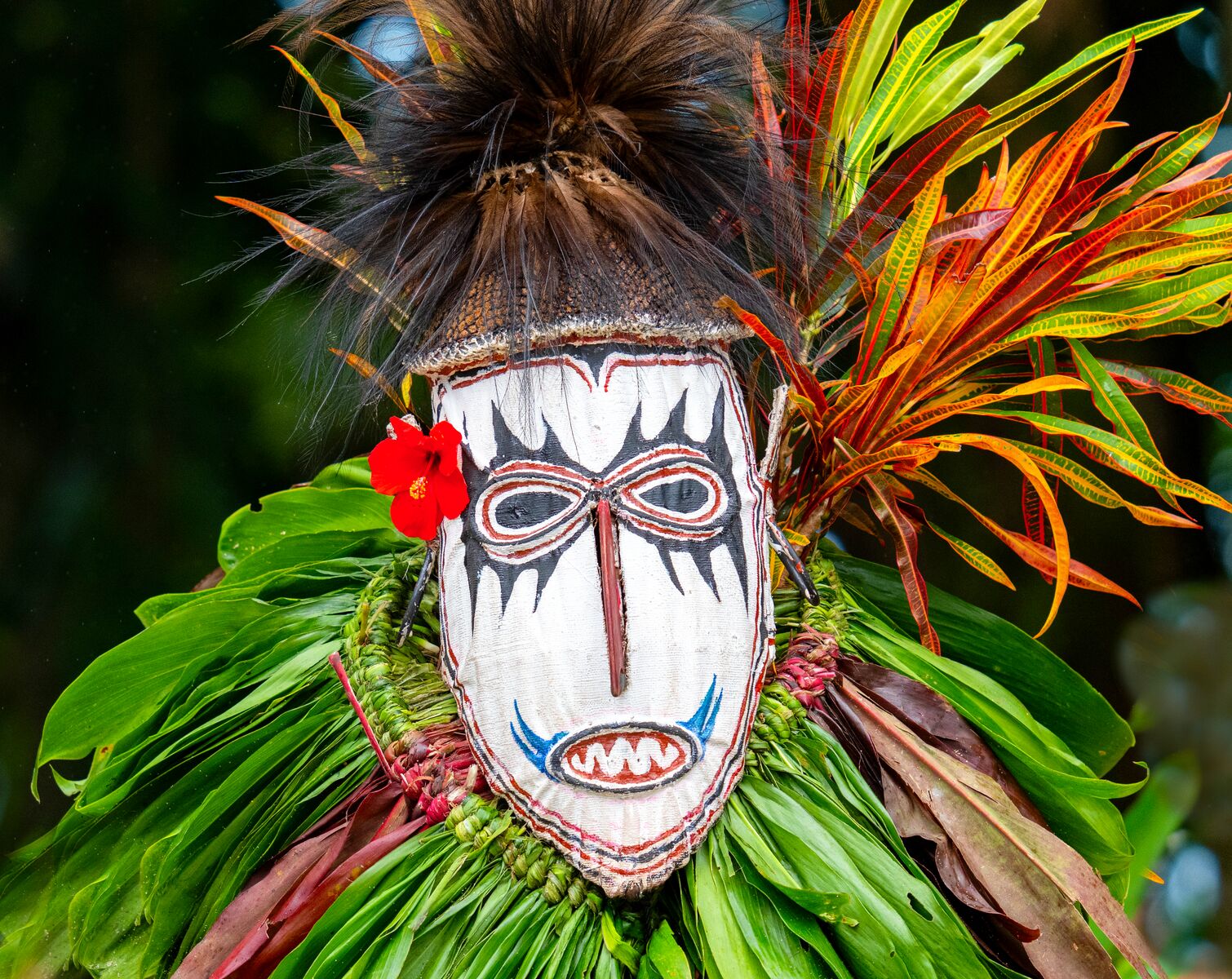 February 6 - Alotau, Papua New Guinea