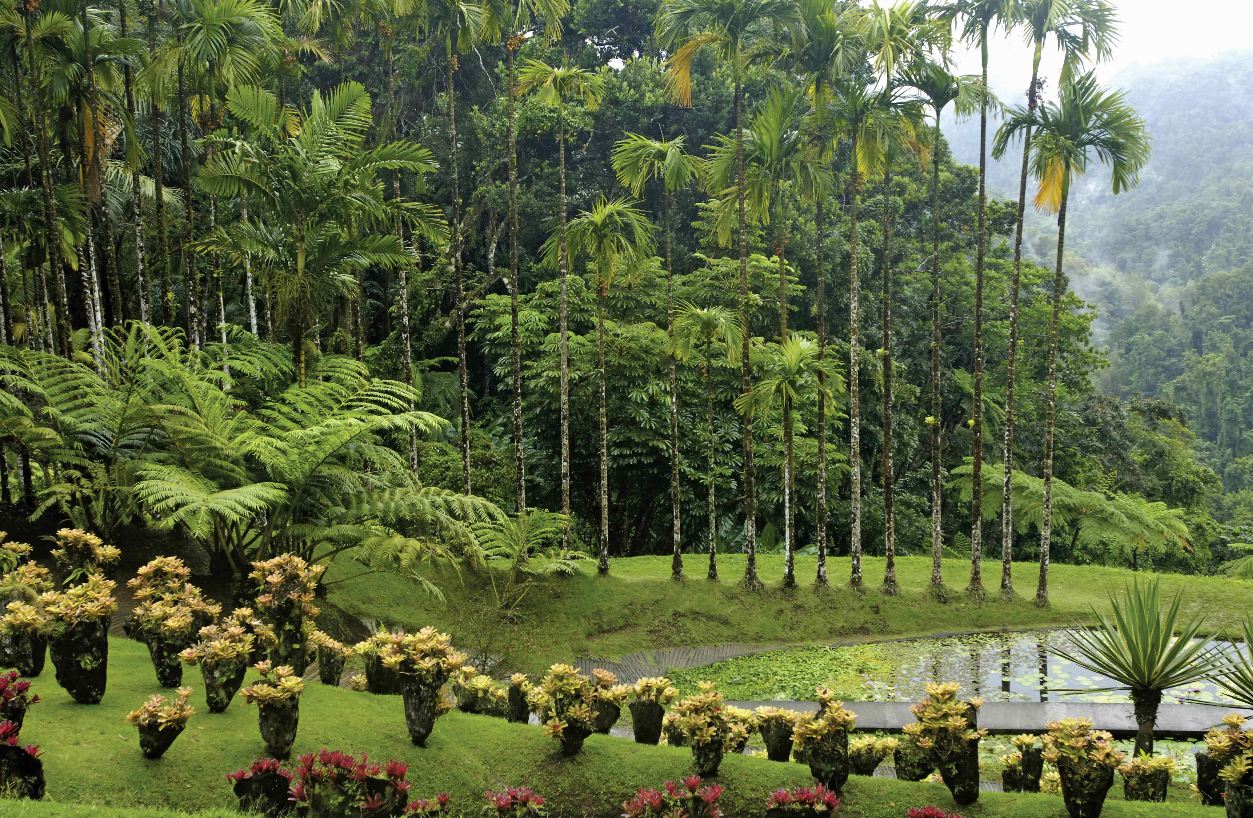 FORT-DE-FRANCE, MARTINIQUE
